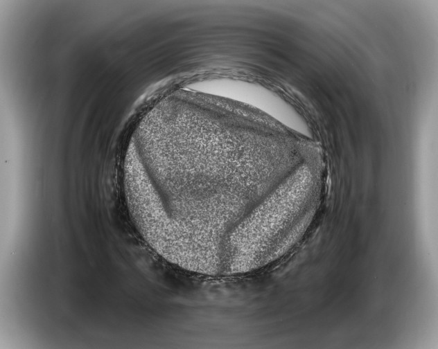 X0000086280776200704262035
