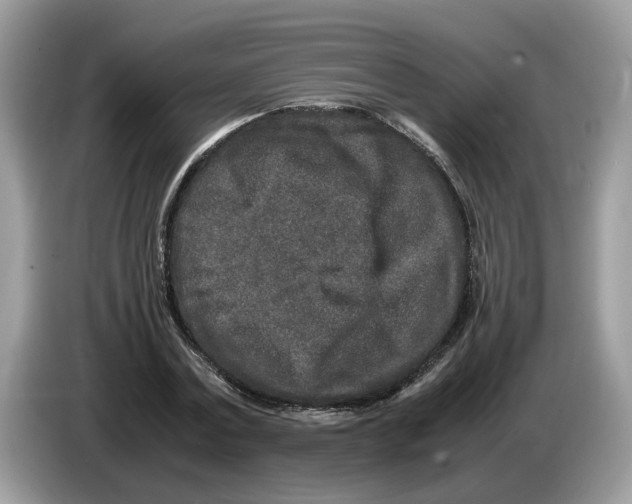 X0000086280779200704262035