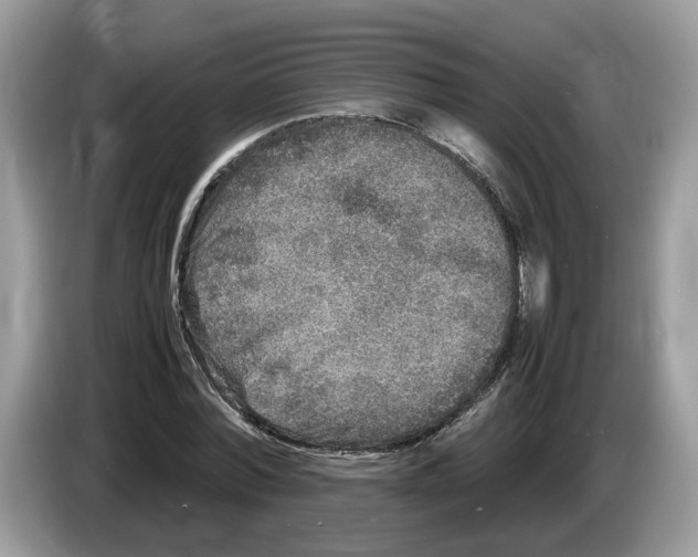 X0000086280780200704262035