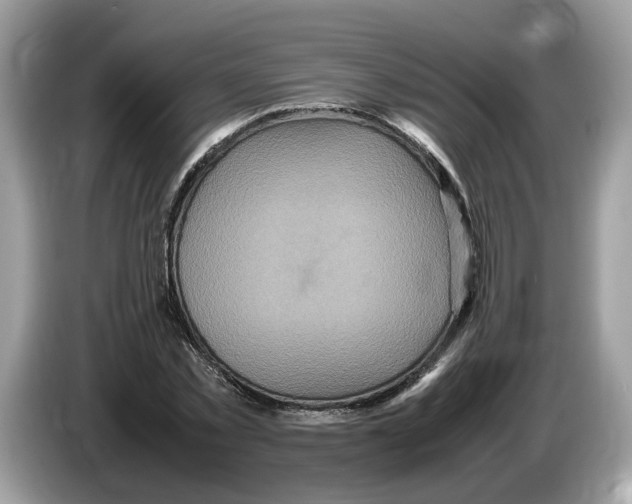 X0000086280781200704262035