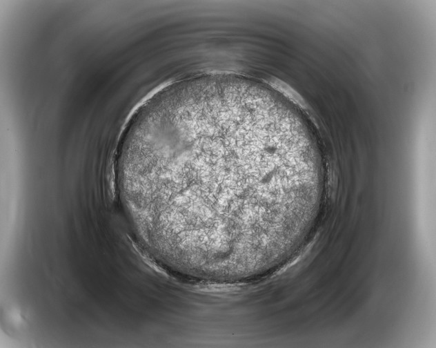 X0000086280782200704262035