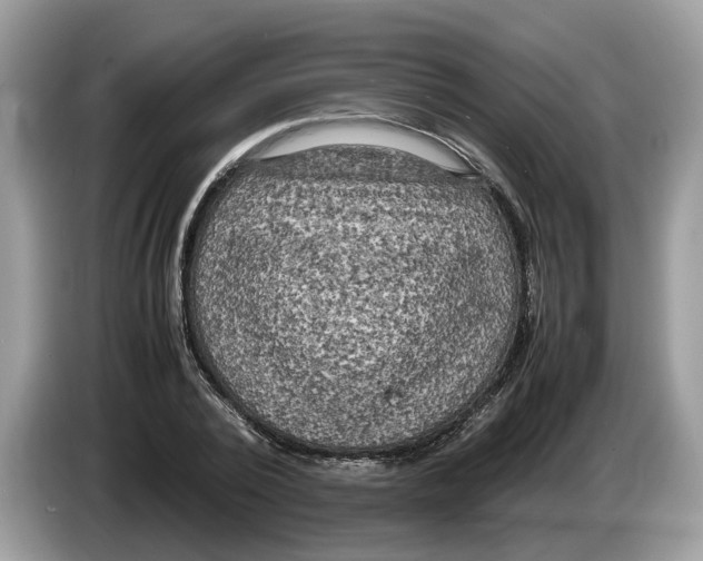 X0000086280784200704262035