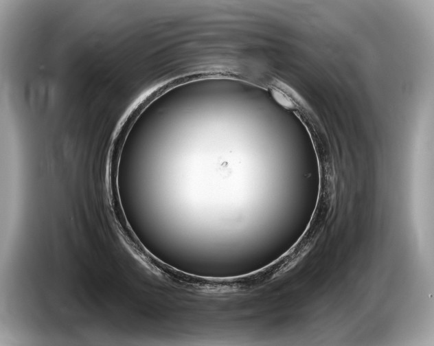 X0000086280788200704262035