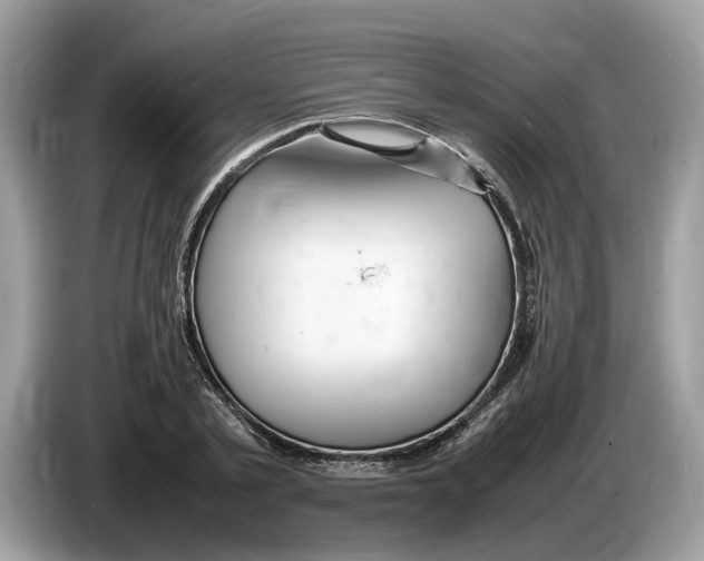 X0000086280789200704262035