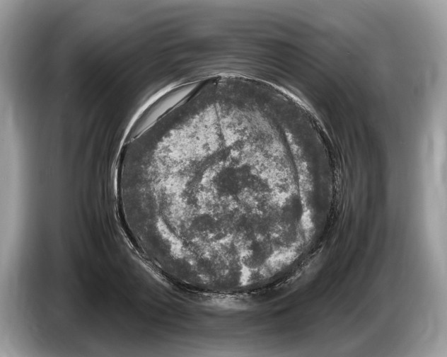X0000086280790200704262035