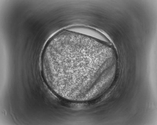 X0000086280791200704262035