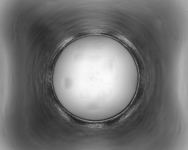 X0000086280793200704262035