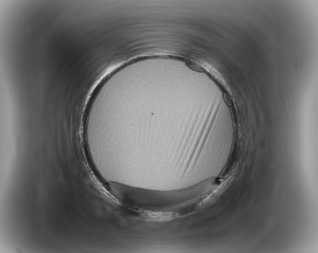 X0000086280797200704262035