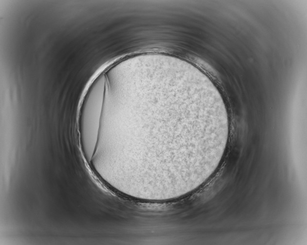X0000086280800200704262035