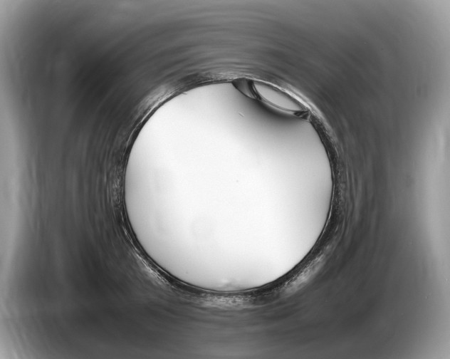 X0000086280801200704262035