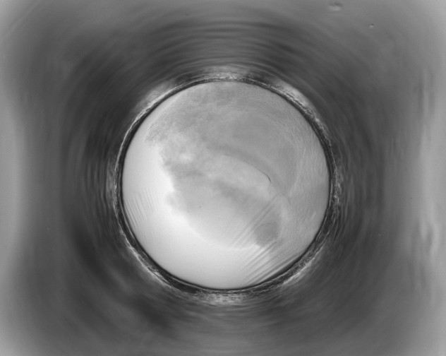 X0000086280802200704262035
