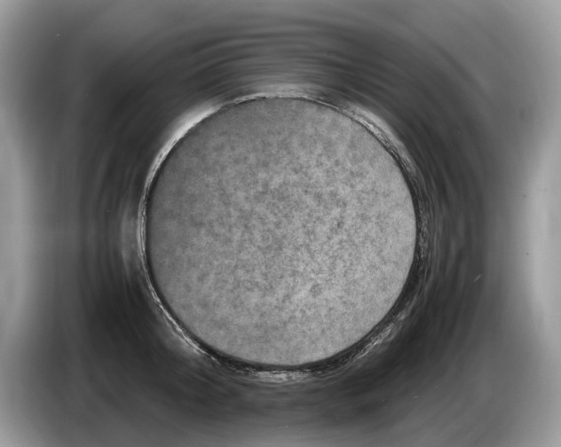 X0000086280804200704262035