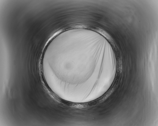 X0000086280806200704262035