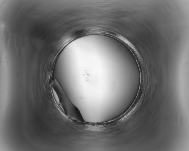 X0000086280809200704262035