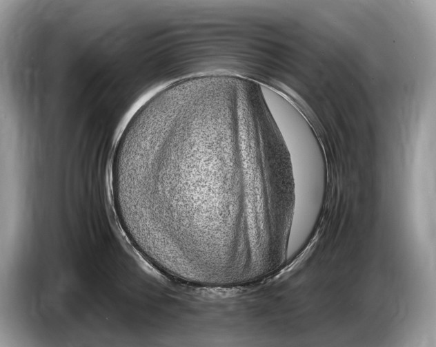 X0000086280812200704262035