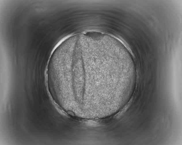 X0000086280814200704262035