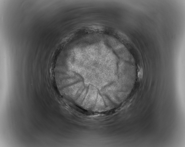 X0000086280819200704262034