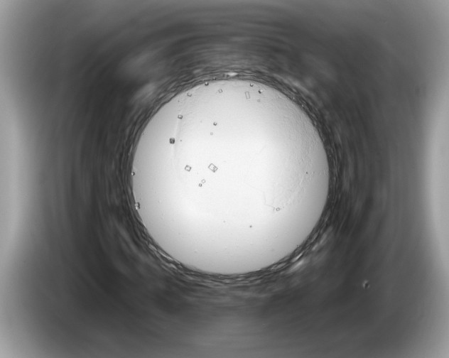 X0000086280820200704262034