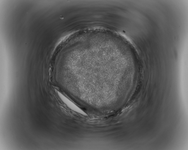 X0000086280823200704262034