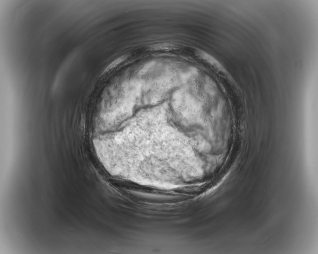 X0000086280825200704262034