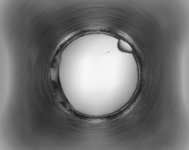 X0000086280826200704262034