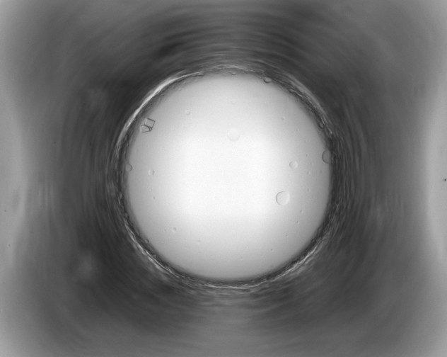 X0000086280828200704262034