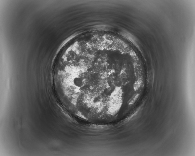 X0000086280829200704262034