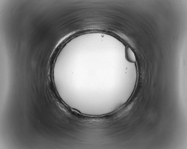 X0000086280830200704262034