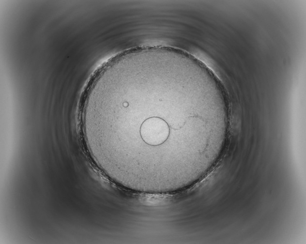 X0000086280832200704262034