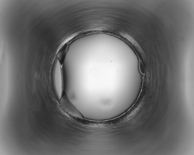 X0000086280834200704262034