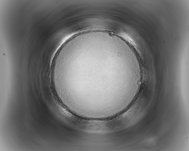 X0000086280836200704262034
