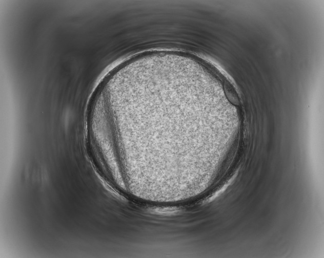 X0000086280837200704262034