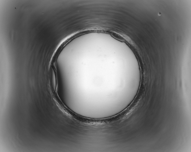X0000086280838200704262034