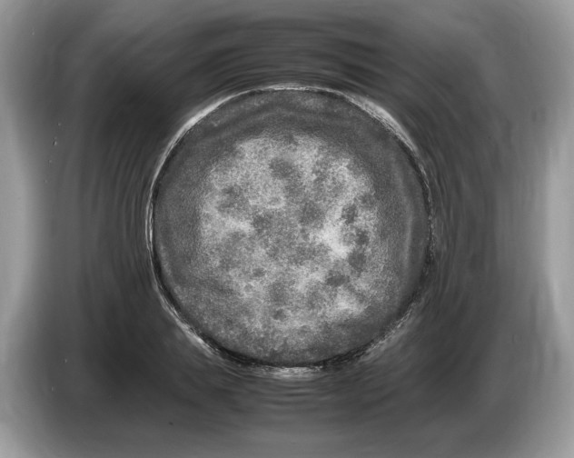 X0000086280839200704262034