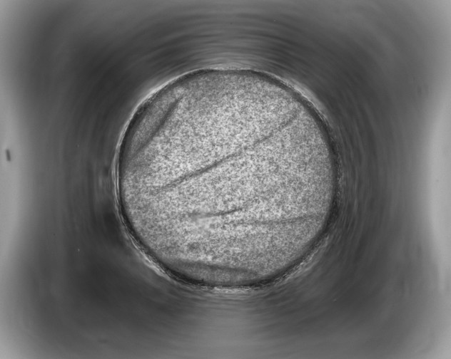 X0000086280840200704262034
