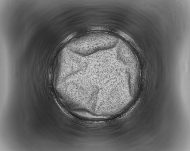 X0000086280841200704262034