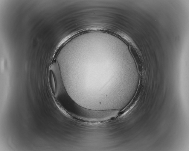X0000086280842200704262034