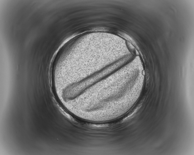X0000086280843200704262035