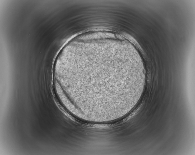 X0000086280844200704262035