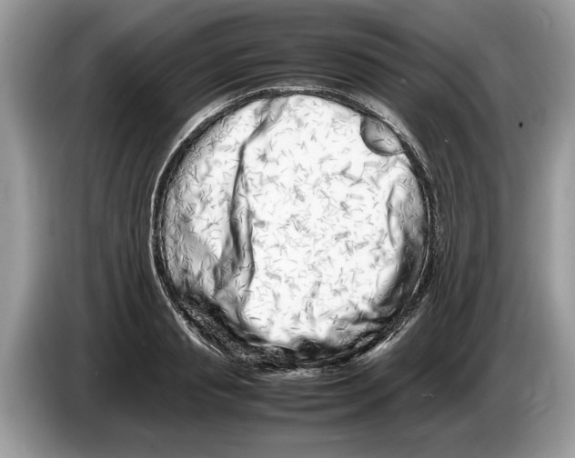X0000086280845200704262035