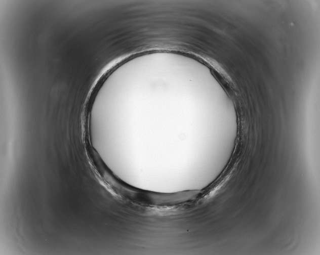 X0000086280846200704262035