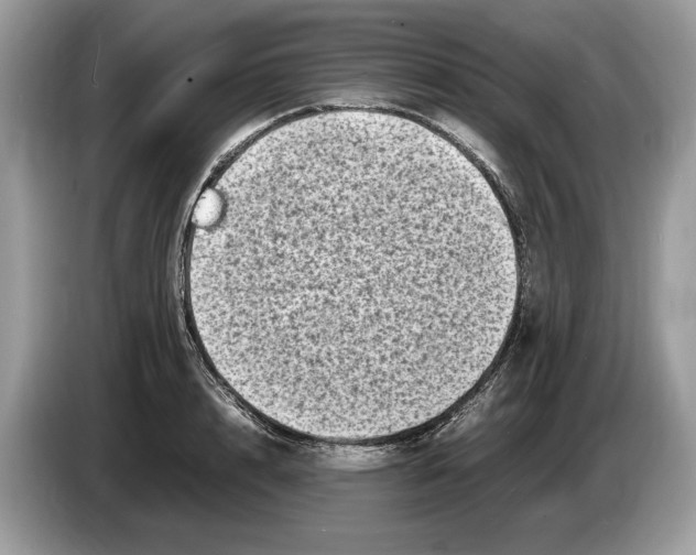 X0000086280848200704262035