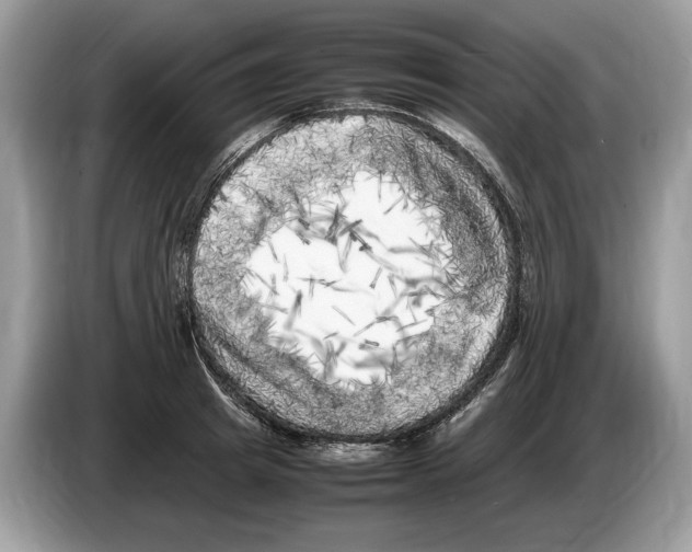 X0000086280849200704262035
