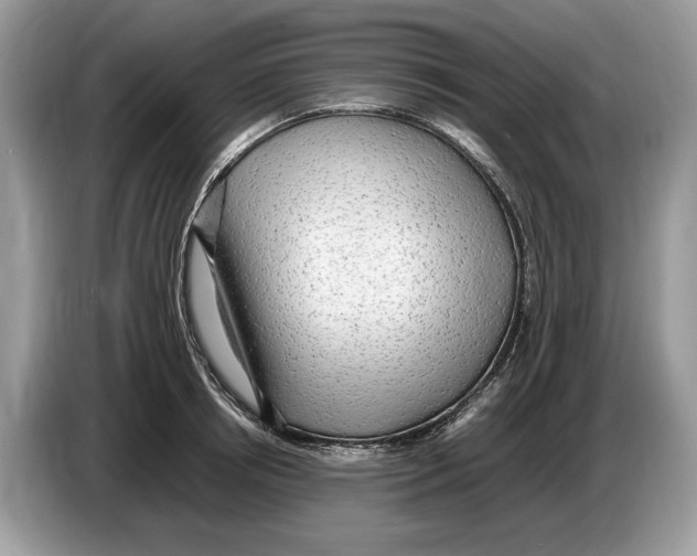 X0000086280850200704262035