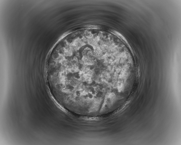 X0000086280851200704262035