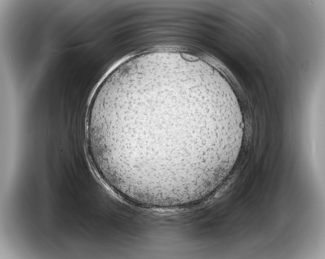 X0000086280852200704262035
