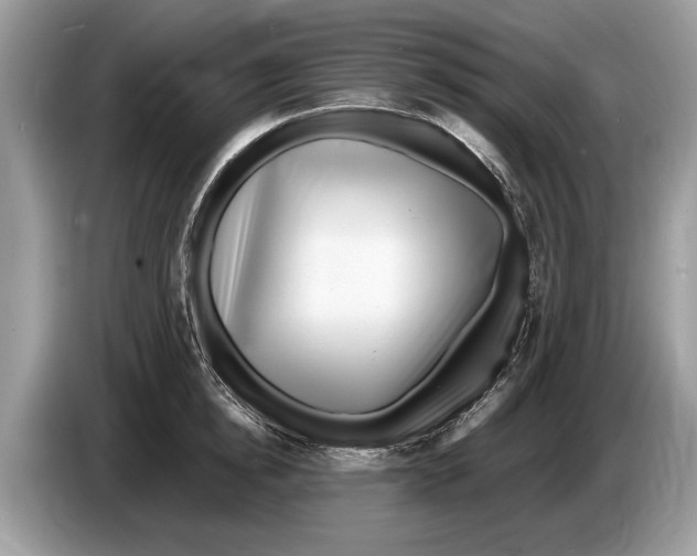 X0000086280854200704262035