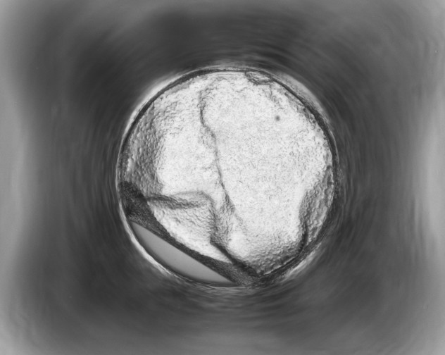 X0000086280855200704262035