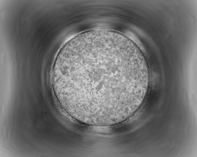 X0000086280856200704262035