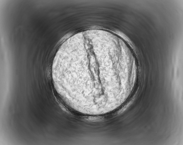 X0000086280857200704262035